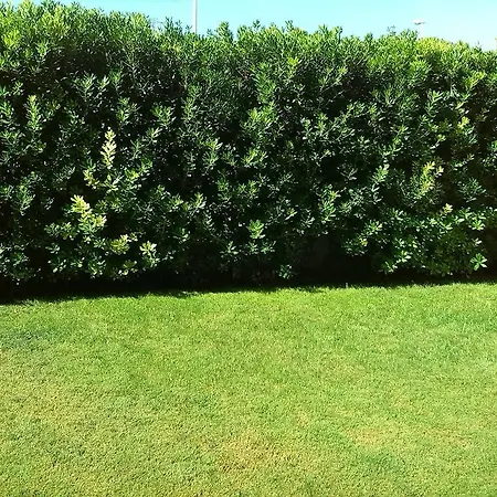 B&B Quartello Garden *